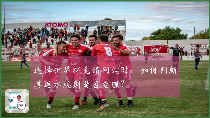 选择世界杯竞猜网站时，如何判断其返水规则是否合理？