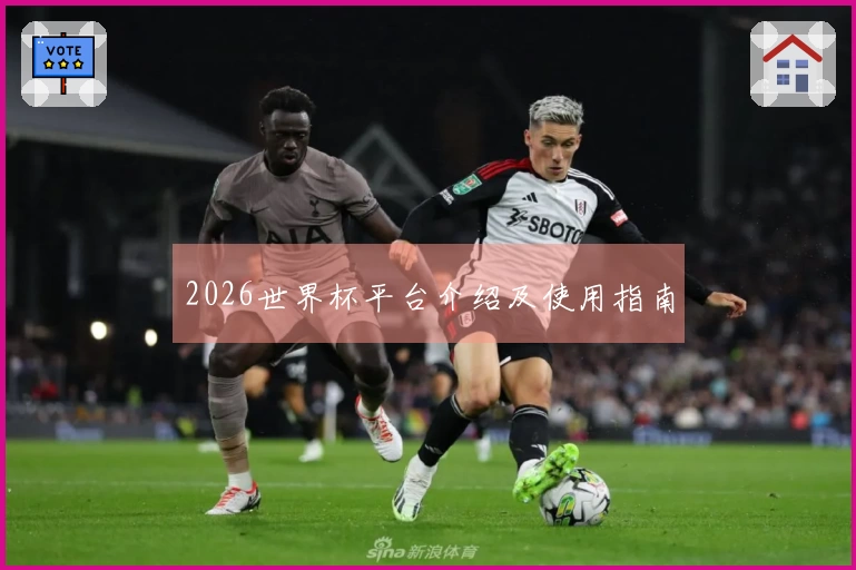 2026世界杯平台介绍及使用指南