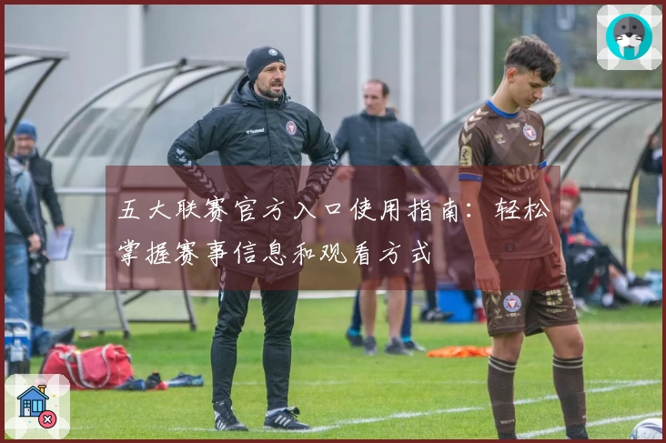 五大联赛官方入口使用指南：轻松掌握赛事信息和观看方式