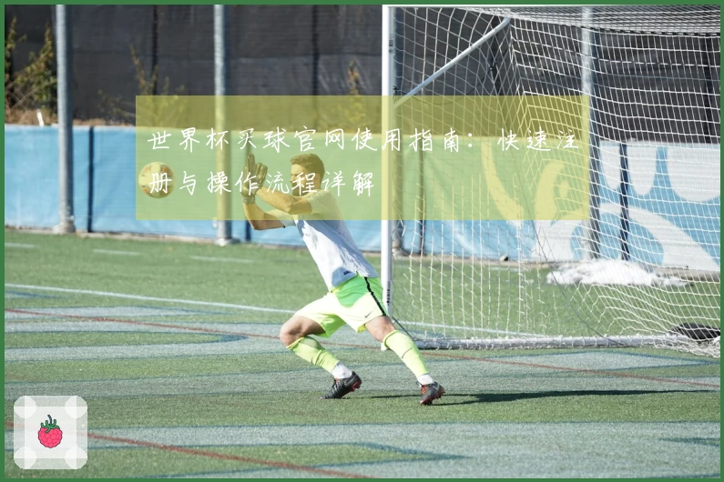 世界杯买球官网使用指南：快速注册与操作流程详解