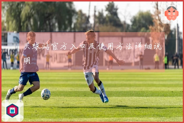 买球站官方入口及使用方法详细说明