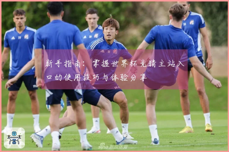 新手指南：掌握世界杯竞猜主站入口的使用技巧与体验分享