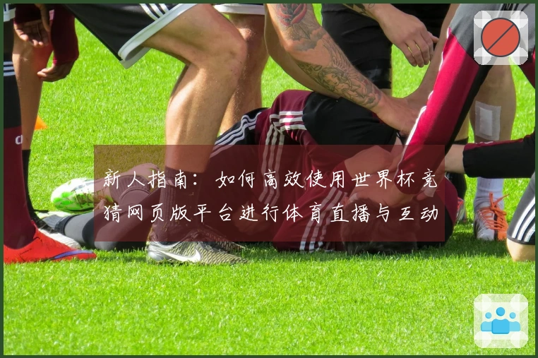 新人指南：如何高效使用世界杯竞猜网页版平台进行体育直播与互动