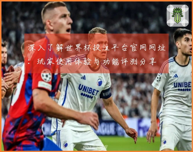 深入了解世界杯投注平台官网网址：玩家使用体验与功能评测分享
