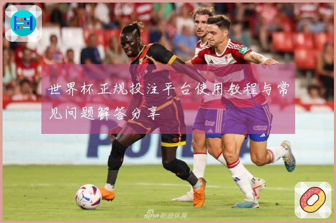 世界杯正规投注平台使用教程与常见问题解答分享