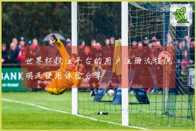 世界杯投注平台的用户注册流程说明及使用体验分享