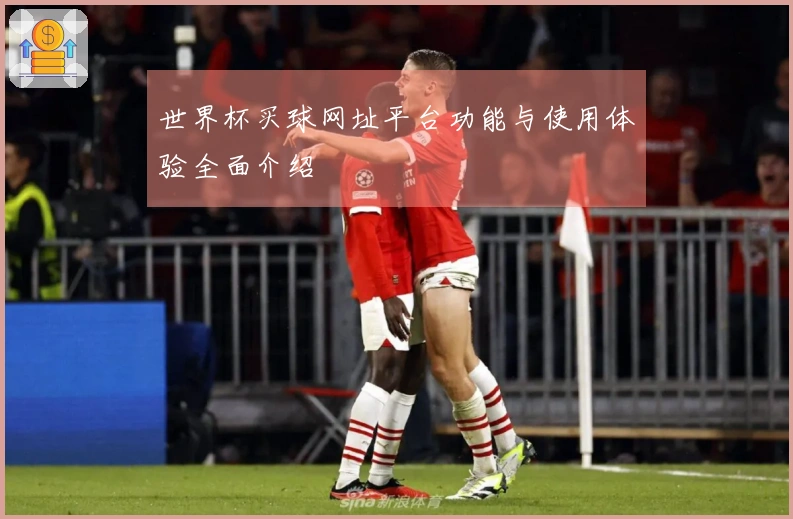 世界杯买球网址平台功能与使用体验全面介绍