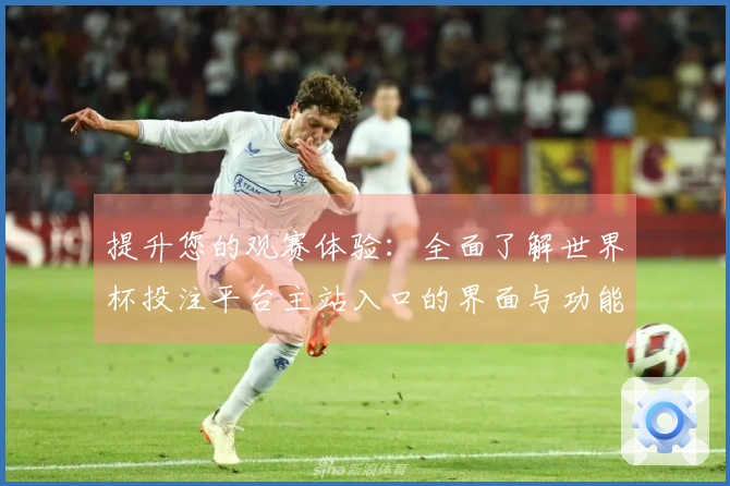 提升您的观赛体验：全面了解世界杯投注平台主站入口的界面与功能
