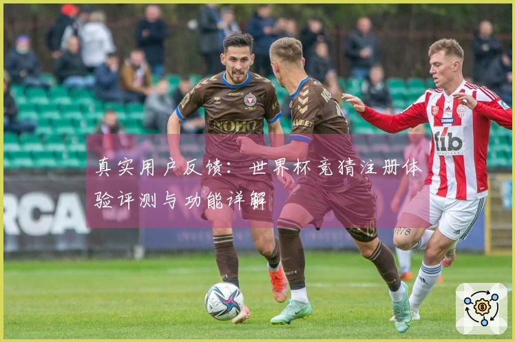 真实用户反馈：世界杯竞猜注册体验评测与功能详解