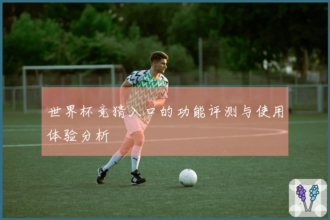 世界杯竞猜入口的功能评测与使用体验分析