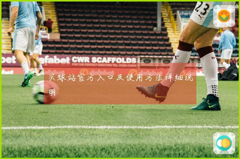 买球站官方入口及使用方法详细说明