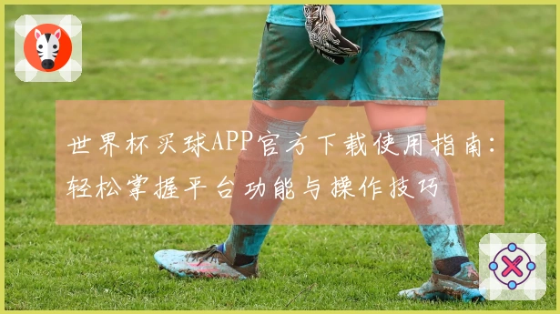 世界杯买球APP官方下载使用指南：轻松掌握平台功能与操作技巧