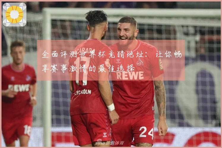 全面评测世界杯竞猜地址：让你畅享赛事激情的最佳选择