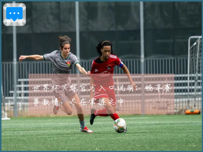 世界杯买球官方入口说明：畅享赛事激情，尽在掌握之中
