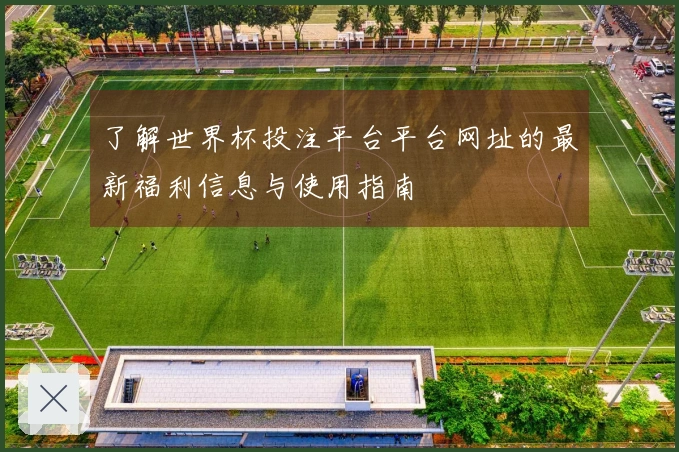 了解世界杯投注平台平台网址的最新福利信息与使用指南