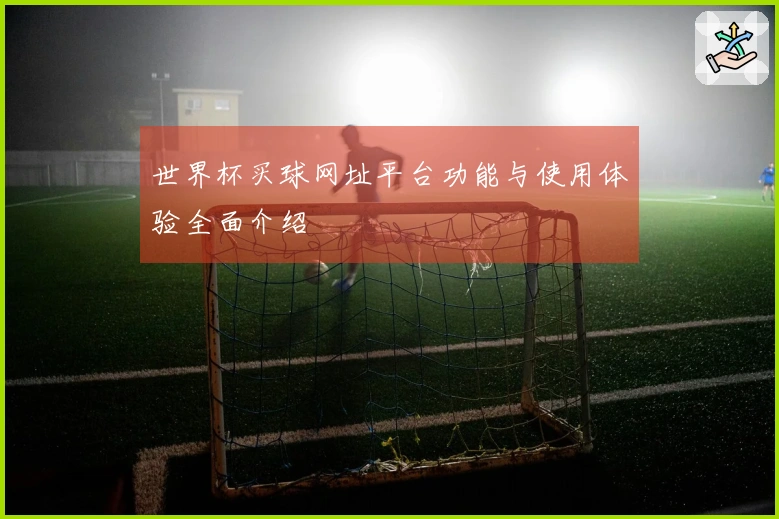 世界杯买球网址平台功能与使用体验全面介绍