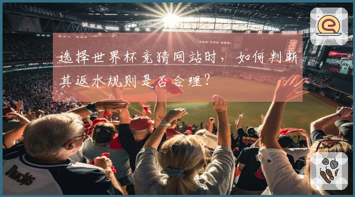 选择世界杯竞猜网站时，如何判断其返水规则是否合理？