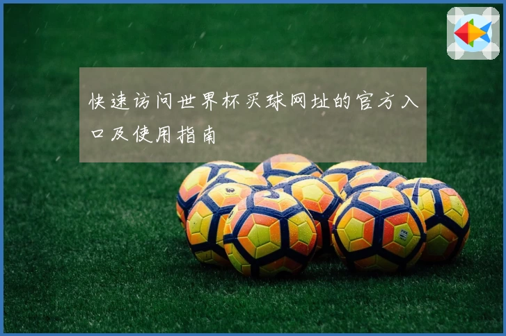 快速访问世界杯买球网址的官方入口及使用指南
