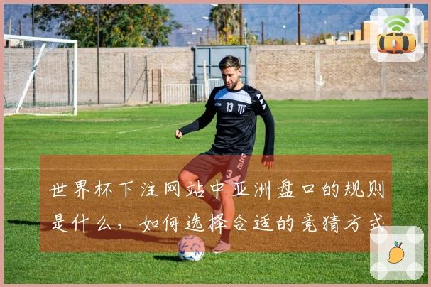 世界杯下注网站中亚洲盘口的规则是什么，如何选择合适的竞猜方式？