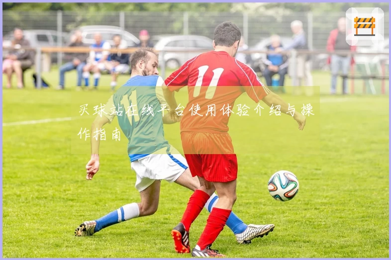 买球站在线平台使用体验介绍与操作指南