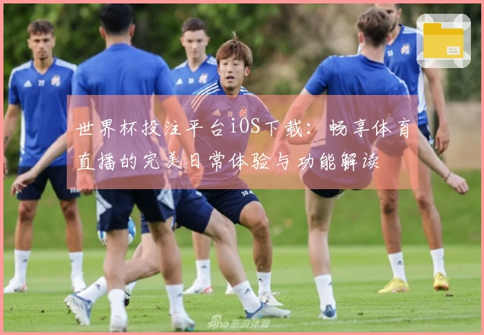 世界杯投注平台iOS下载：畅享体育直播的完美日常体验与功能解读